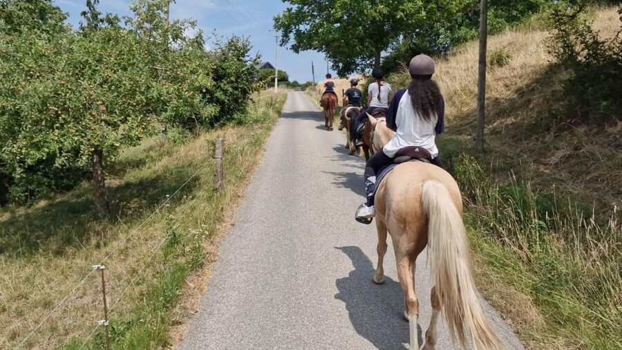 Cruseilles: Horseback Riding in the Countryside - Why Cruseilles Works for a One-Hour Ride