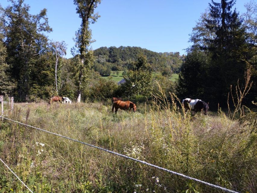 Cruseilles: Horseback Riding in the Countryside - Stories, Legends, and the Savoyard Setting