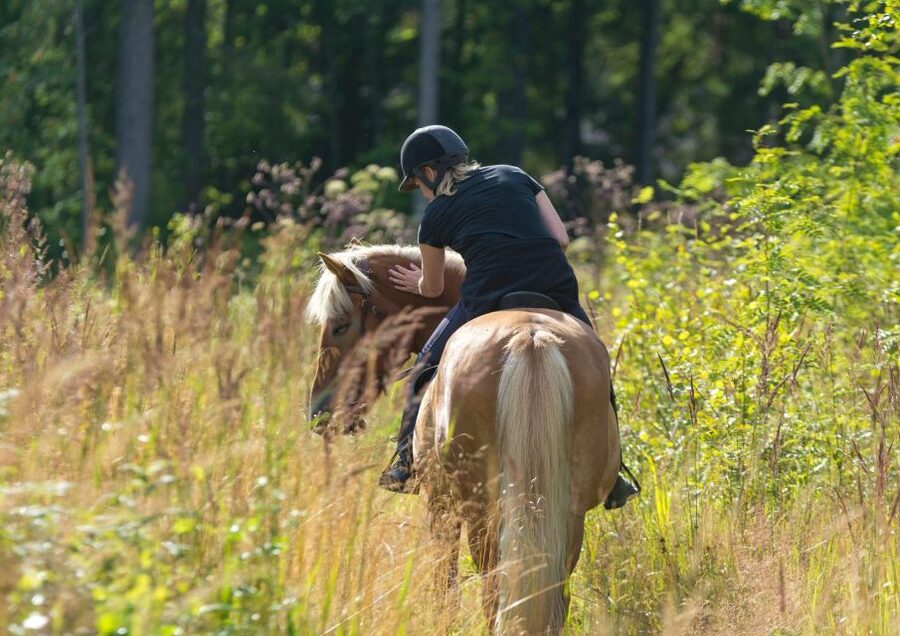 Cruseilles: Horseback Riding in the Countryside - What the Ride Feels Like for Beginners