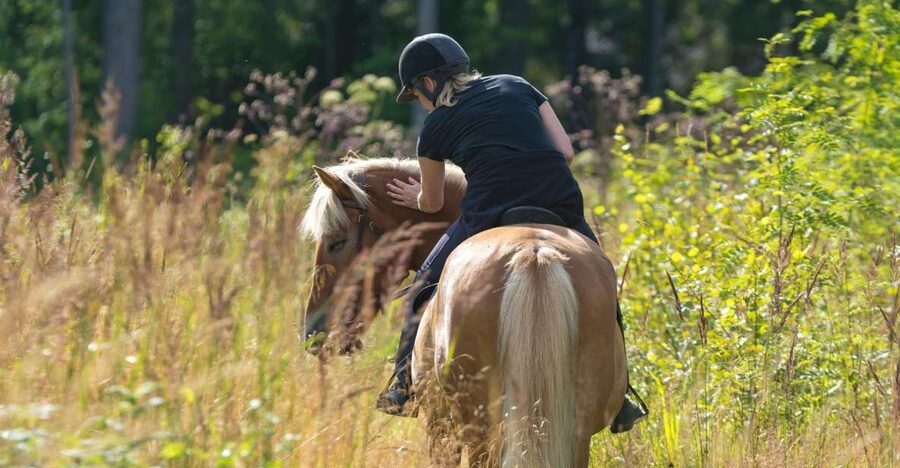 Cruseilles: Horseback Riding in the Countryside - The Best Part May Come After the Trail