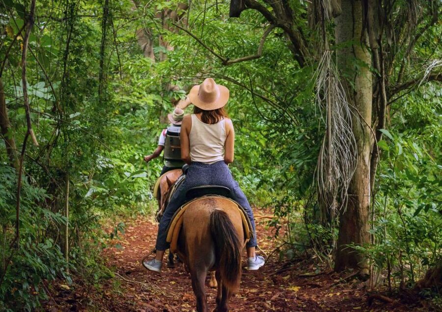 Cruseilles: Horseback Riding in the Countryside - From Easy Trails to Hillside Views
