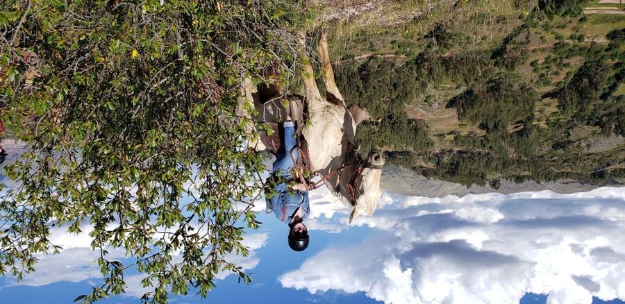 Cusco: Half-Day Horseback Riding at Devil's Balcony - Horse care, safety, and comfort