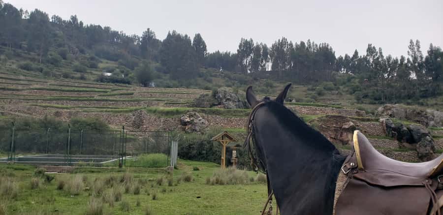 Cusco: Hidden Incan Temples Full-Day Horseback Riding Tour - Why this Cusco ride feels different