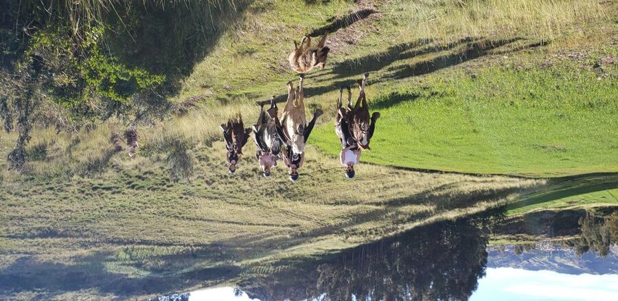 Cusco: Hidden Incan Temples Full-Day Horseback Riding Tour - Booking details that matter