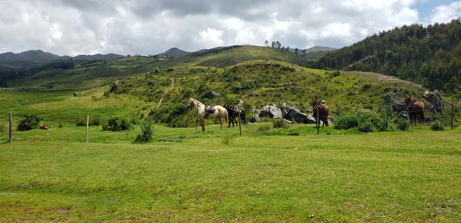 Cusco: Sacsayhuaman Guided Tour and 1-Hour Horseback Ride - Who will enjoy this Cusco horse ride