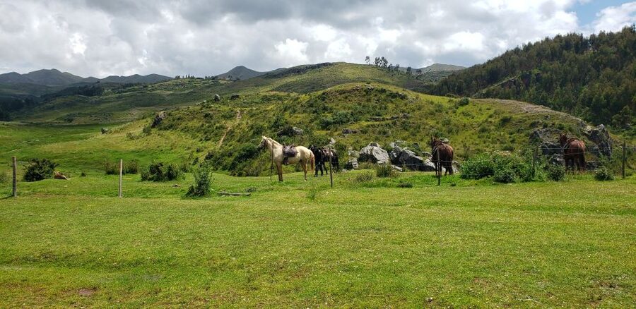 Cusco: Sacsayhuaman Guided Tour and 1-Hour Horseback Ride - Should you book this Sacsayhuaman horseback tour?