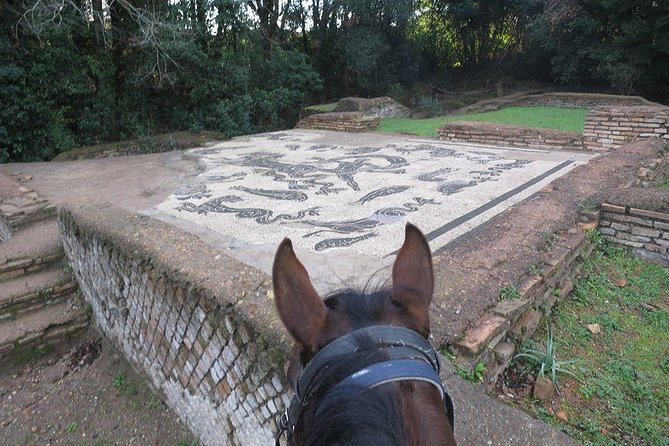 Daily out of Rome : Horseback ride with meals & wine included - From Rome to Tagliacozzo and the Valle Verde ranch