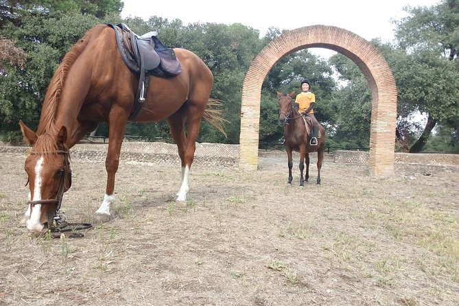 Daily out of Rome : Horseback ride with meals & wine included - A meal and local wine in the village
