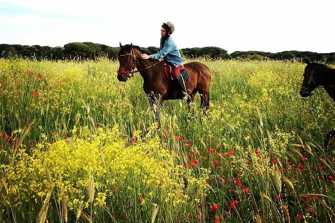 Daily out of Rome : Horseback ride with meals & wine included - Is $325.60 per person good value?