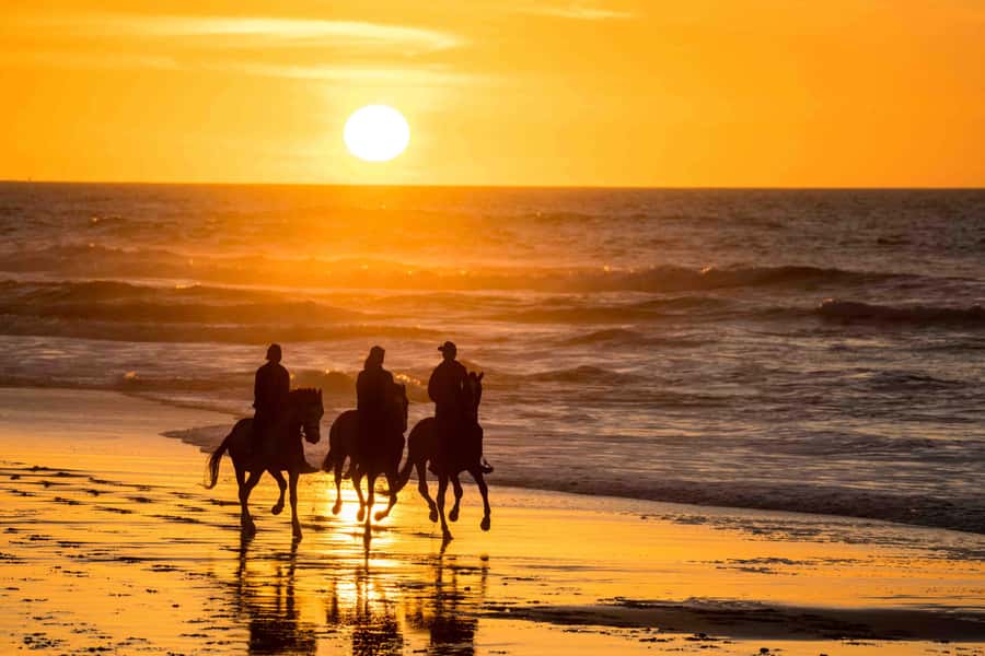 Dakhla: Horseback Riding Tour - Riding between Sahara sand and Atlantic water