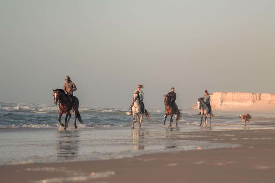 Dakhla: Horseback Riding Tour - Choosing the beach walk and sunset route