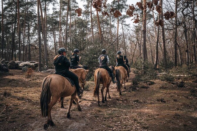Day Trip to Fontainebleau : Horse Riding, Gastronomy and Castle - Lunch with wine and a slower middle of the day