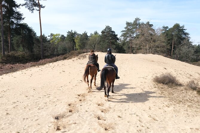 Day Trip to Fontainebleau : Horse Riding, Gastronomy and Castle - Who should book this experience?