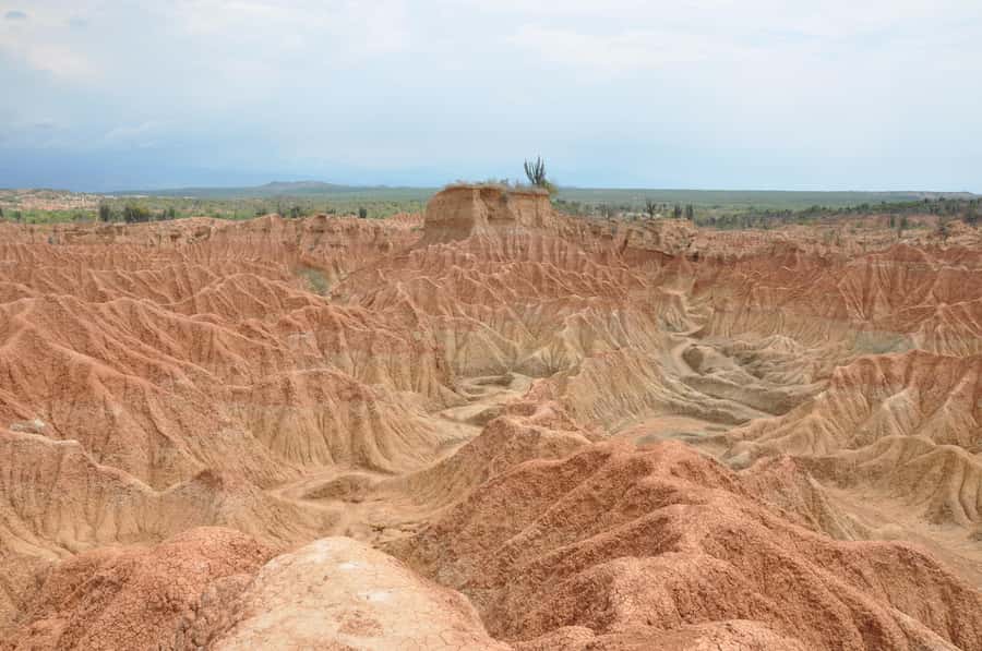 Day Trip to Tatacoa Desert (Horseback, Boat, Stargazing, ..) - Cactus wine and the Tatacoa night sky