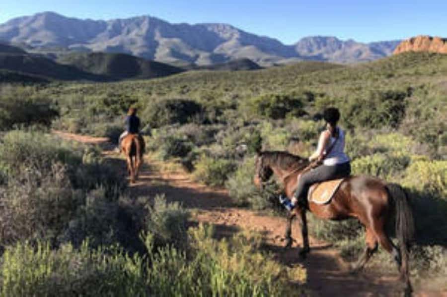 De Rust: Stompdrift Trail - Horse Riding Experience - Key points about the Stompdrift ride