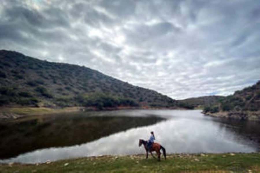De Rust: Stompdrift Trail - Horse Riding Experience - Riding through the Stompdrift Dam basin