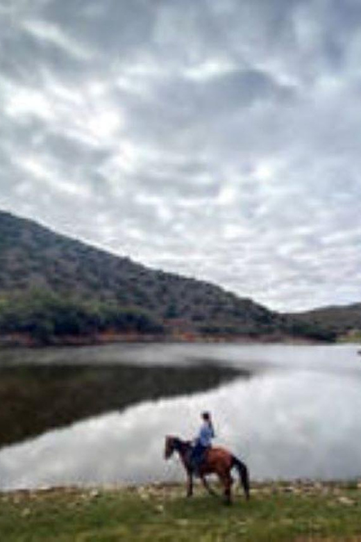 De Rust: Stompdrift Trail - Horse Riding Experience - What Jillian adds to the two hours