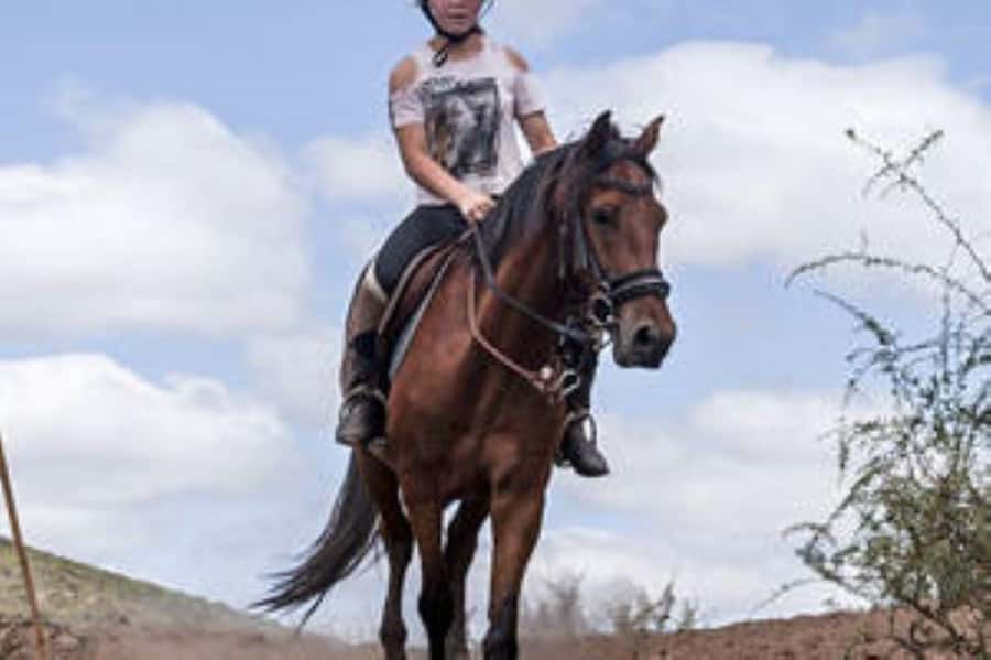 De Rust: Stompdrift Trail - Horse Riding Experience - Meeting the guide and finding your horse