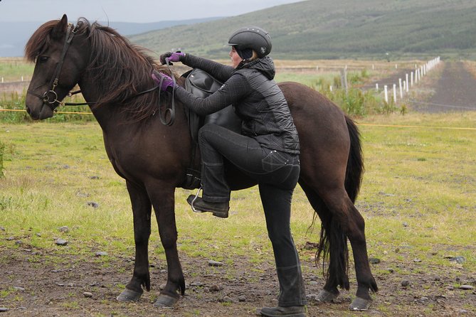 Deacon Horse Riding Tour - Key points to know before you book