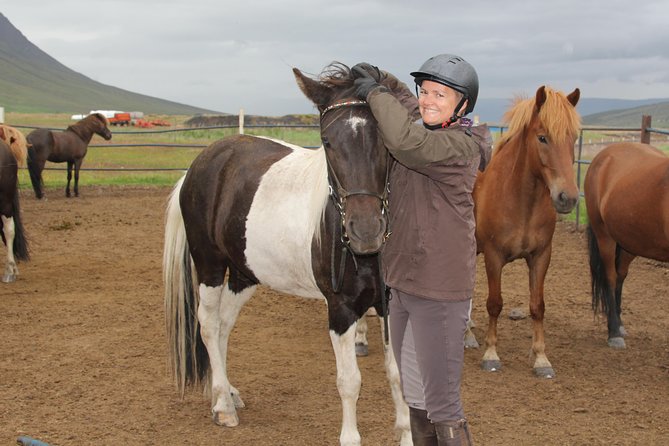 Deacon Horse Riding Tour - Guides who make beginners feel at ease