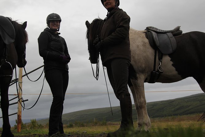 Deacon Horse Riding Tour - Price, timing, and what you are really paying for