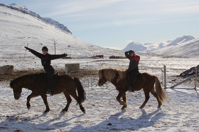 Deacon Horse Riding Tour - The first 90 minutes on horseback