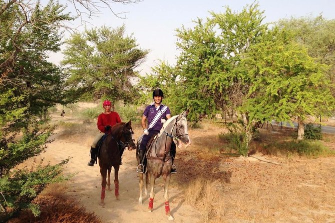 Desert Horse Riding- 1 Hour - Meeting the Horses and Getting Ready