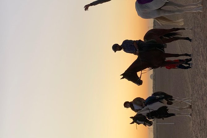 Desert Horse Riding Experience in Dubai - A quieter way to see Dubai’s desert