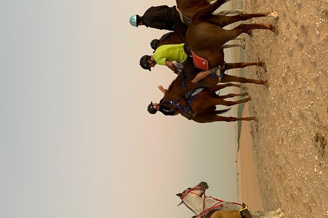 Desert Horse Riding Experience in Dubai - The real value at $68.77 per person