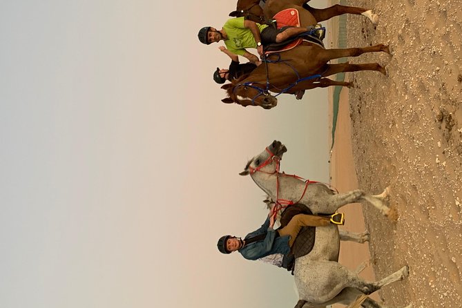 Desert Horse Riding Experience in Dubai - A mixed record on communication