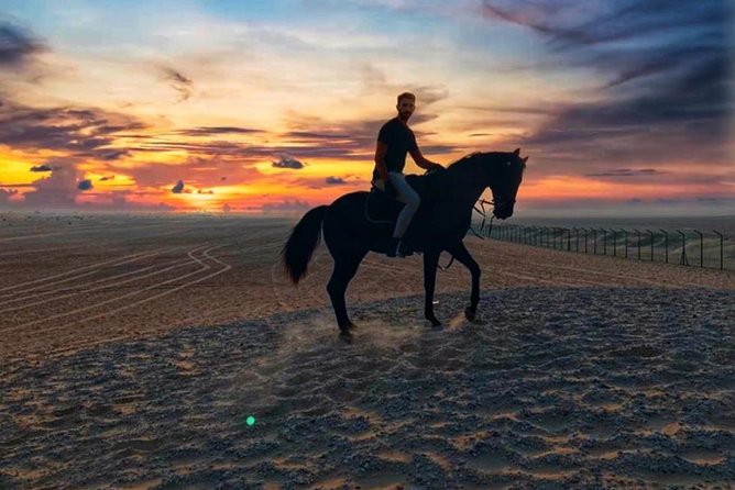 Desert Horse Riding Experience in Dubai - Riding the dunes and open plains