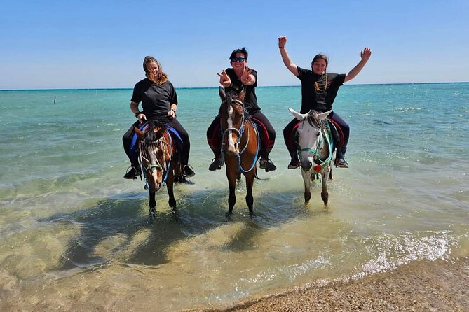 Desert & Sea Adventure – 3-Hour Horse or Camel Riding Experience - Key points to know before you book