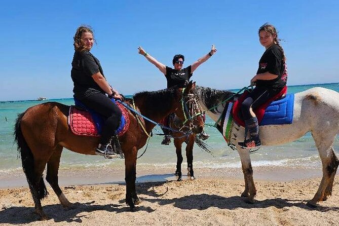 Desert & Sea Adventure – 3-Hour Horse or Camel Riding Experience - What the three hours are likely to feel like