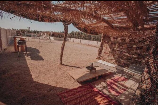 Desert & Sea Adventure – 3-Hour Horse or Camel Riding Experience - Hotel transfers make the outing easier
