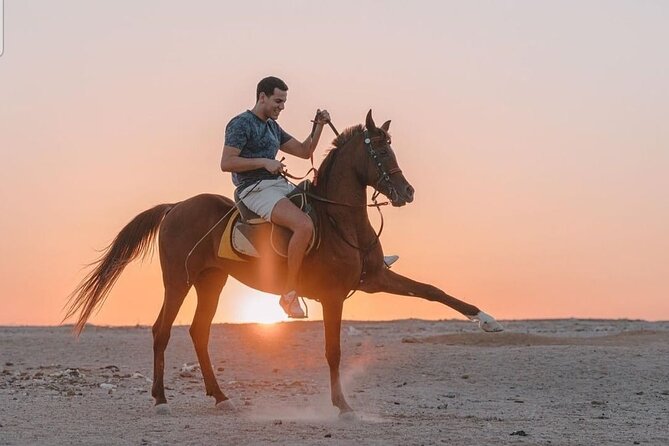 Desert & Sea Adventure – 3-Hour Horse or Camel Riding Experience - The best reasons to book