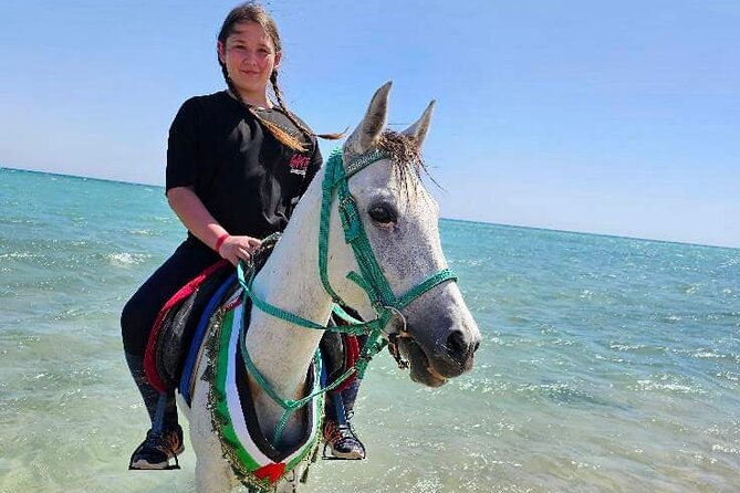 Desert & Sea Adventure – 3-Hour Horse or Camel Riding Experience - Points that deserve a closer look
