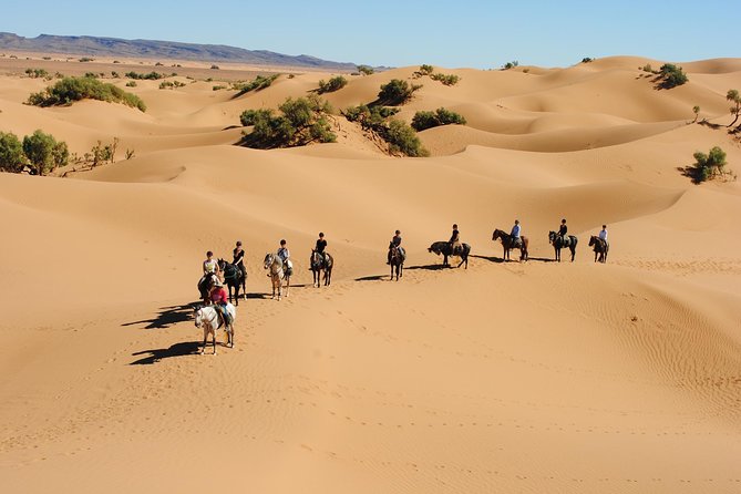 Desert Trail in Morocco on Horseback - Riding from Zagora into the Draa palm grove