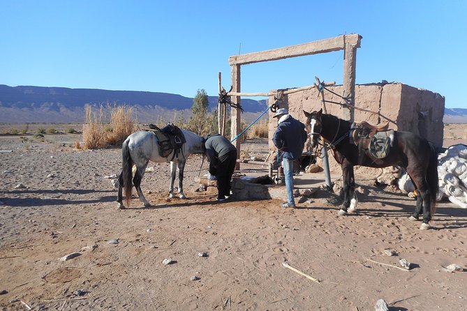 Desert Trail in Morocco on Horseback - Jebel Bani, where the Sahara meets the mountains