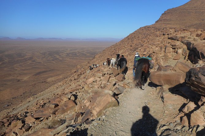 Desert Trail in Morocco on Horseback - The final ride back toward Zagora