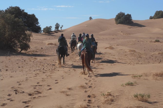 Desert Trail in Morocco on Horseback - Tagounite and a full day in open desert