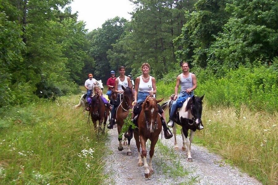Didim Horse Safari - What is included for $66