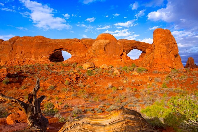 Discover The Best Of Moab In A Day: Arches Canyonlands Dead Horse - What the guides add to the scenery