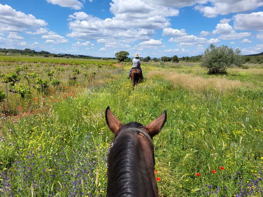 Discover the interior of Valencia on horseback - From Valencia to the ranch at Riba-roja de Túria
