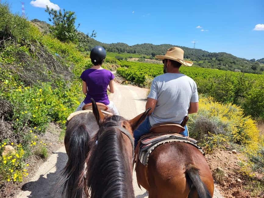 Discover the interior of Valencia on horseback - Two hours through Valencia’s inland countryside