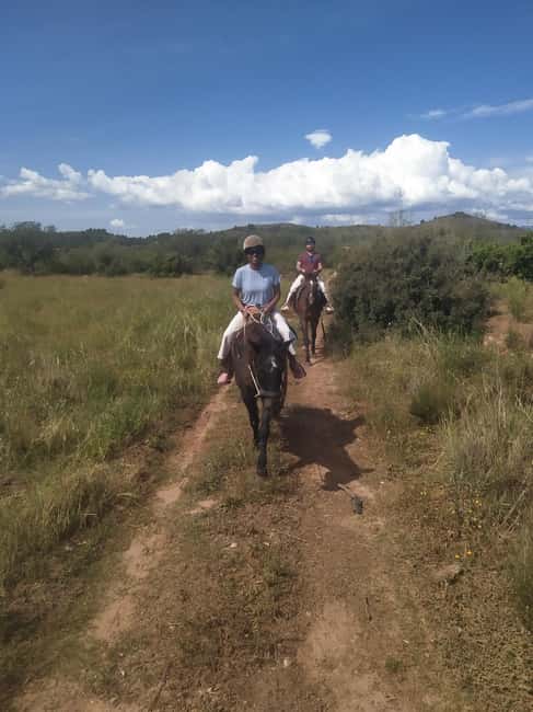 Discover the interior of Valencia on horseback - Why the private group matters