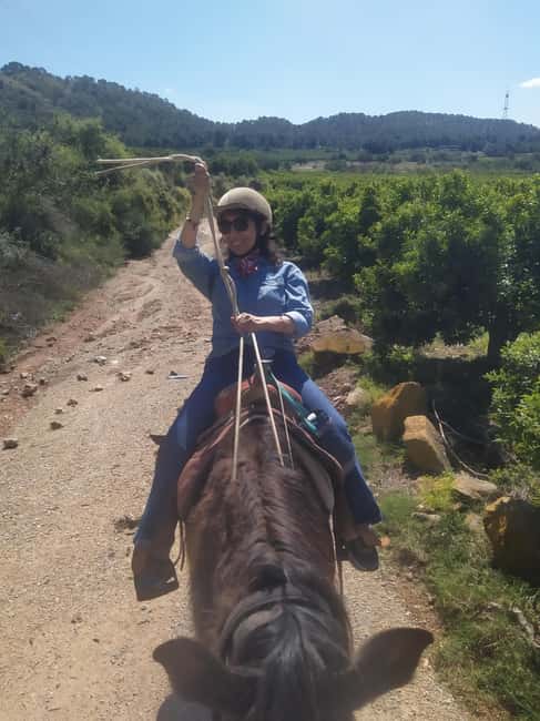 Discover the interior of Valencia on horseback - The horses and the guide’s approach