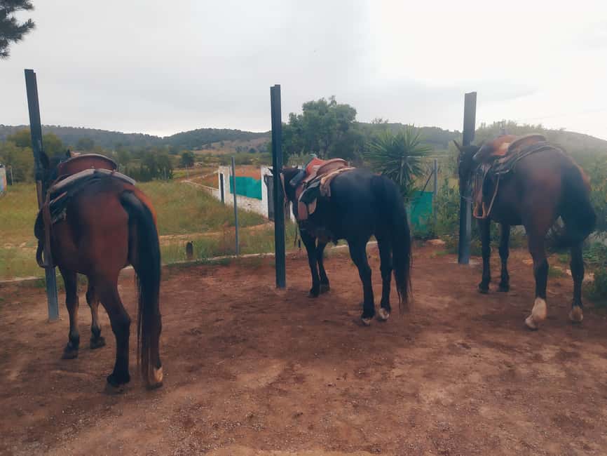 Discover the interior of Valencia on horseback - A local picnic instead of a rushed finish