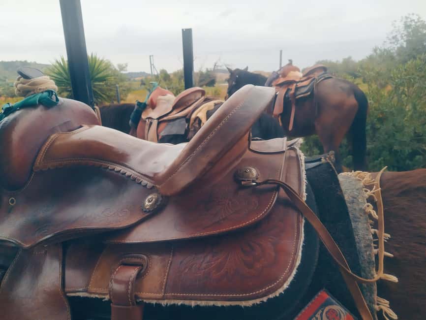 Discover the interior of Valencia on horseback - Should you book the Riba-roja horseback ride?