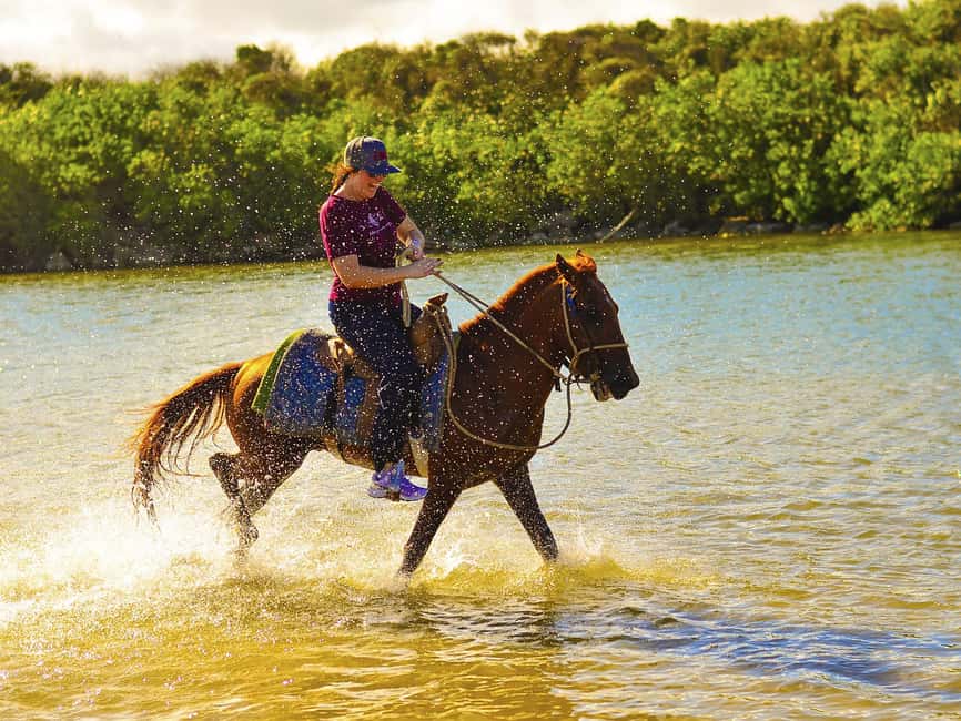 Discover the Trails of Punta Cana on a Horseback Ride - Is $40 a fair price?