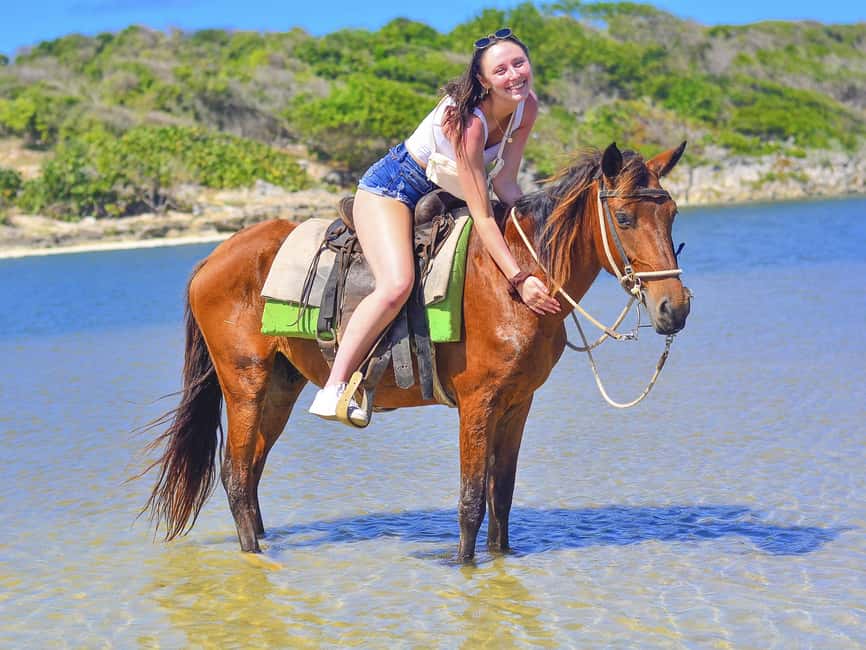 Discover the Trails of Punta Cana on a Horseback Ride - Should you book this Punta Cana horseback ride?